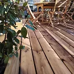 Le Nid Du Forez Appartamento